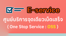 เทศบาลตำบลท่าข้าม 