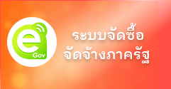 เทศบาลตำบลท่าข้าม 